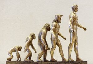 ダーウィンの進化論