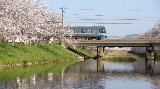 走行する電車と桜の木