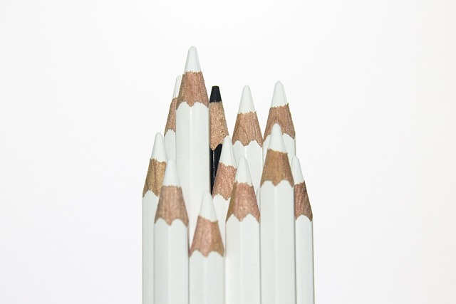 鉛筆の白と黒